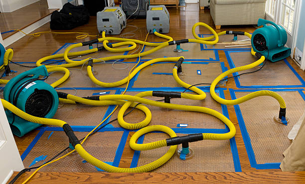 Professional Basement Flood Cleanup technician working in Mulberry, IN